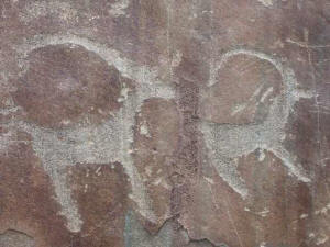 петроглифы, наскальные рисунки в урочище Калбак-Тащ